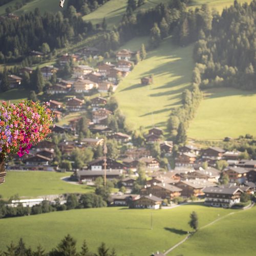 Blick auf das Dorf Alpbach im Sommer